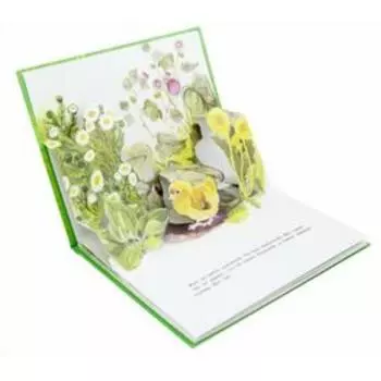 Цыпленок. Чуковский К.