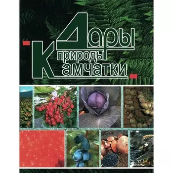 Дары природы Камчатки. 3-е издание. Сост. Кожан С.П.