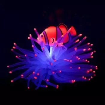 Декор для аквариума "Анемон с рыбкой", силиконовый, светящийся в темноте, 8 х 8 х 7,5 см