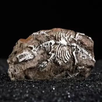 Декор для аквариума "Архиологические раскопки", 16 х 4 х 7 см