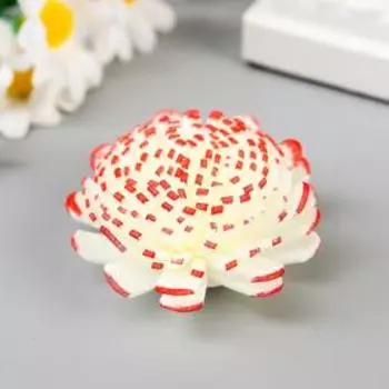 Декор для творчества "Астра" бело-красная d= 4 см