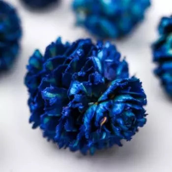 Декор для творчества "Шишка сосновая синяя" размер 2-4 см