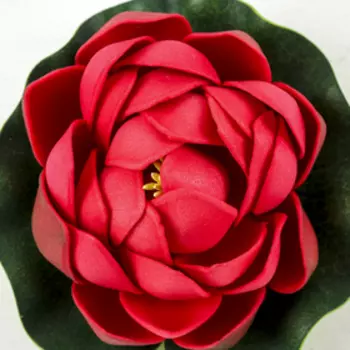 Декор «Кувшинка плавающая», d=10 см, МИКС