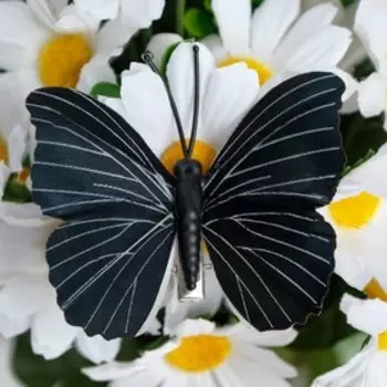 Бабочки для декора и флористики, на прищепке, пластиковые, черные, микс, 5 см и 8 см