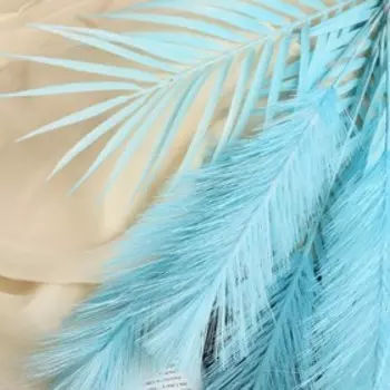 Декор "Перо и пальма" 72 см, голубой