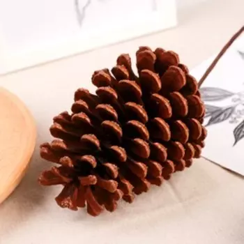 Декор сухоцвет "Еловая шишка" р-р 9х7 см, 40 см, коричневый