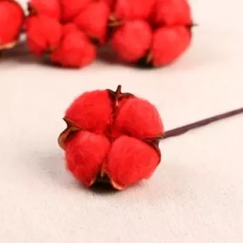 Декор сухоцвет "Хлопок" d-5 см, 30 см, коралловый