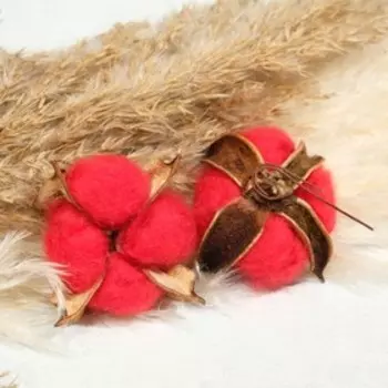 Декор сухоцвет "Хлопок" d-5 см, 5 см, красный