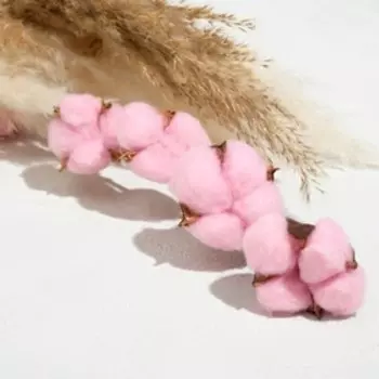 Декор сухоцвет "Хлопок" розовый d-5 см, 70 см