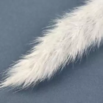 Сухоцветы «Кортадерия», h=65 см, (фасовка 5 шт., цена за 1 шт.), серо-голубые