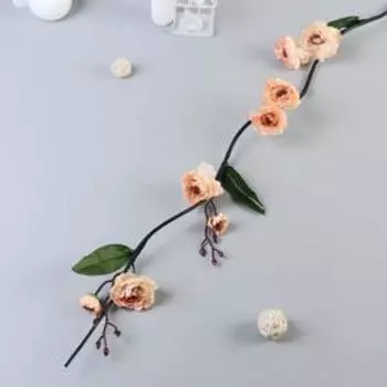 Декор тинги "Лептоспериум" 150 см, микс