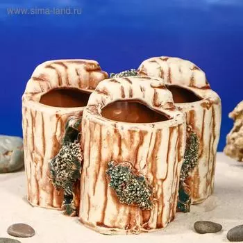 Декорация для аквариума "Коряги", 15 х 15 х 13 см