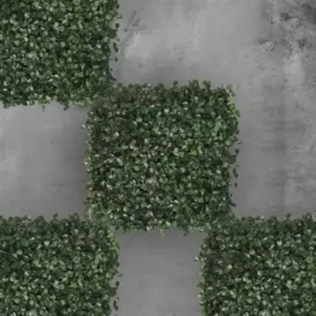 Декоративная панель, 2525 см, «Мокрица», Greengo