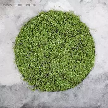 Декоративная панель, d = 50 см, «Мох с ряской»