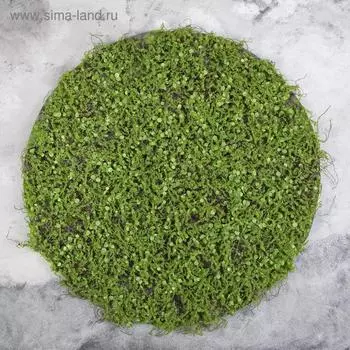 Декоративная панель, d = 60 см, «Мох с ряской»