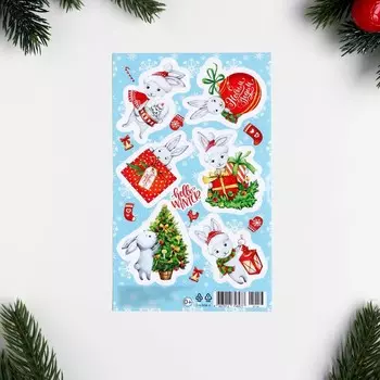 Декоративные наклейки "Символ года - 5" 10х16 см