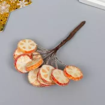 Декоративный букетик "Рукоделие" Апельсиновые дольки в сахаре