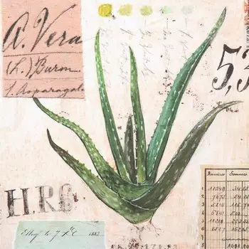 Декупажная карта "Алоэ" плотность 45г/м2, формат А4