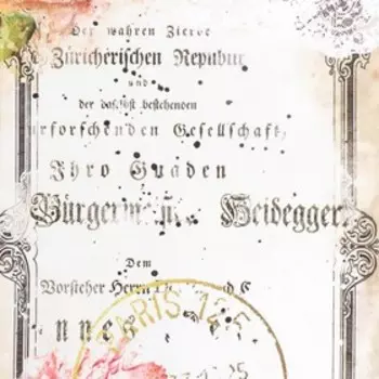 Декупажная карта "Книга" формат А4, плотность 45г/м2