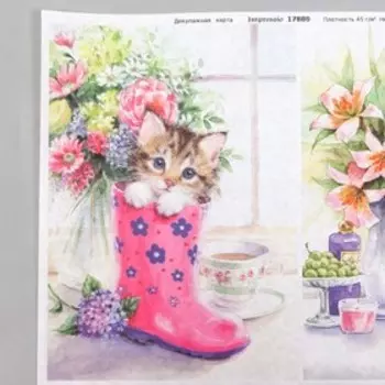Декупажная карта "Котята" формат А4, плотность 45г/м2