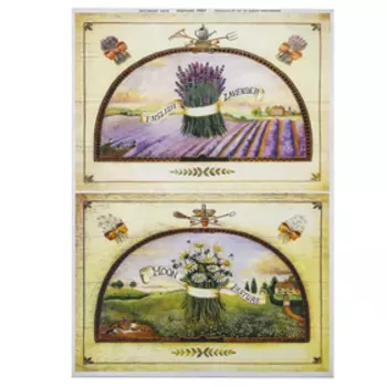 Декупажная карта "Лаванда и ромашки" плотность 45г/м2 формат А4 (7357)