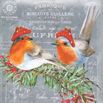 Декупажная карта "Птички в шапках" плотность 45 г/м2, формат А4