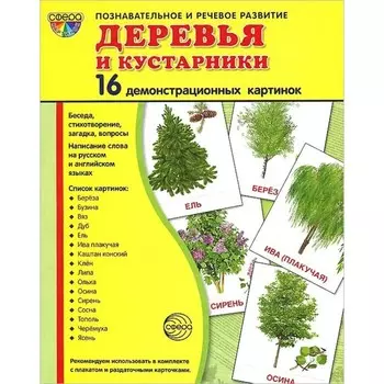 Демонстрационные картинки. Деревья и кустарники. 16 демонстрационных картинок с текстом. 174х220 мм