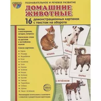 Демонстрационные картинки. Домашние животные. 16 демонстрационных картинок с текстом. 174х220 мм