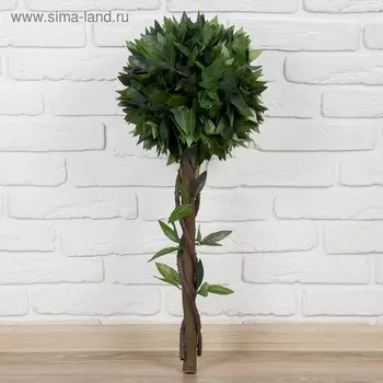 Дерево искусственное «Бонсай», h=70 см, шар d=25 см