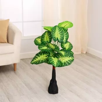 Дерево искусственное «Алоказия пёстрая», h=75 см