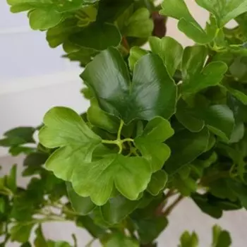 Дерево искусственное «Дерево вечнозелёное», в горшке, h=160 см