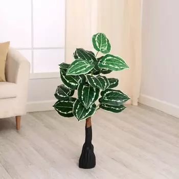 Дерево искусственное «Калатея пёстрая», h=80 см