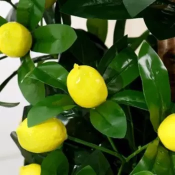 Дерево искусственное «Лимонное дерево», h=170 см