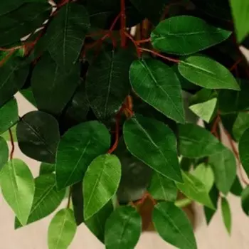 Дерево искусственное «Мелколист», h=150 см