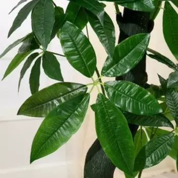 Дерево искусственное «Пахира водная», h=150 см