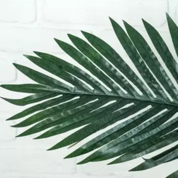 Дерево искусственное «Пальма», h=140 см