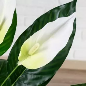 Дерево искусственное «Спатифилум», h=70 см