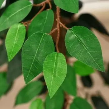 Дерево искусственное «Зелёный фикус», h=175 см