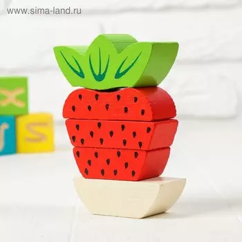 Деревянная пирамидка безосевая «Ягодка» Томик