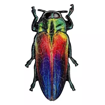 Деревянный пазл с двухслойной крышкой «Жук Альфред» S