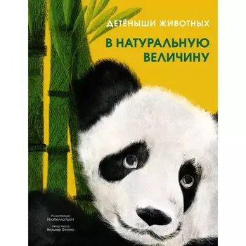 Детеныши животных в натуральную величину. Фогато В.