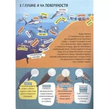 Детский атлас подводного мира
