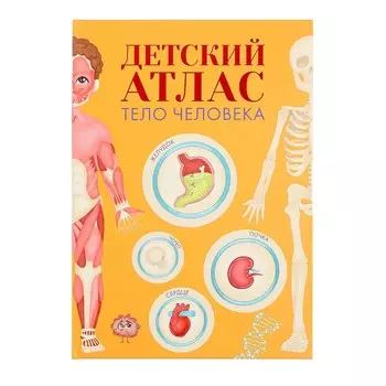 Детский атлас «Тело человека»