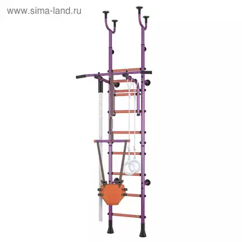 Детский спортивный комплекс Polini Sport Active, комбинированный, фиолетовый