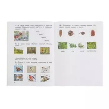 Диагностические комплексные работы. Русский язык, математика, окружающий мир, литературное чтение. 1 класс. Узорова О.В., Нефедова Е.А.