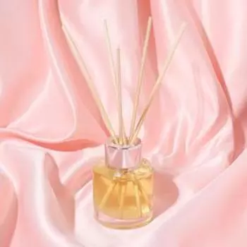 Диффузор ароматический ROURA "Корица", 50 мл