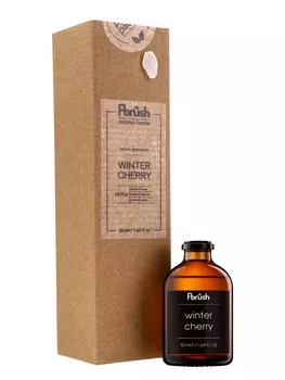 Диффузор Craft «Зимняя вишня» , 50 мл