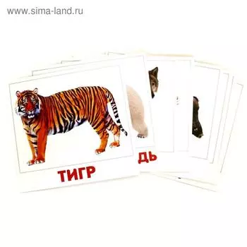 Дикие животные. Доман Г.