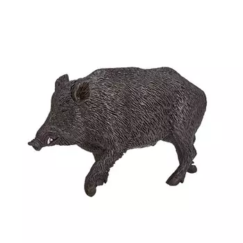 Дикий кабан