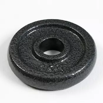 Диск 1 кг, d=29 мм